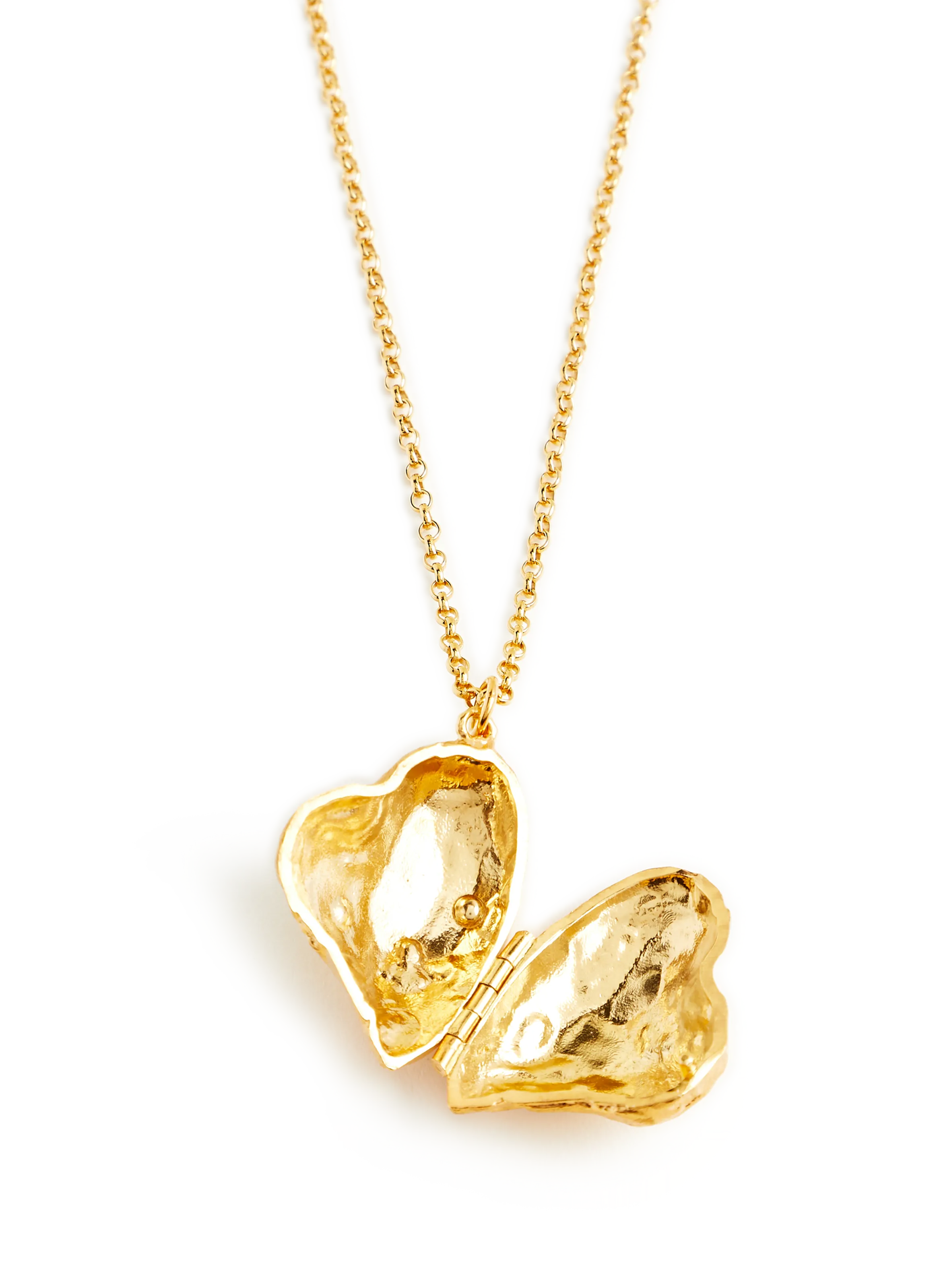 Golden ALIGHIERI Necklace with Locket