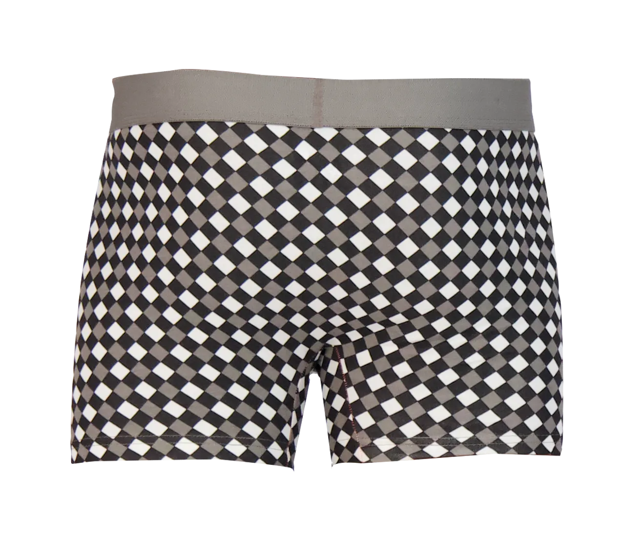 Black & White Dimension Boxer Brief with Fly by Wood Underwear