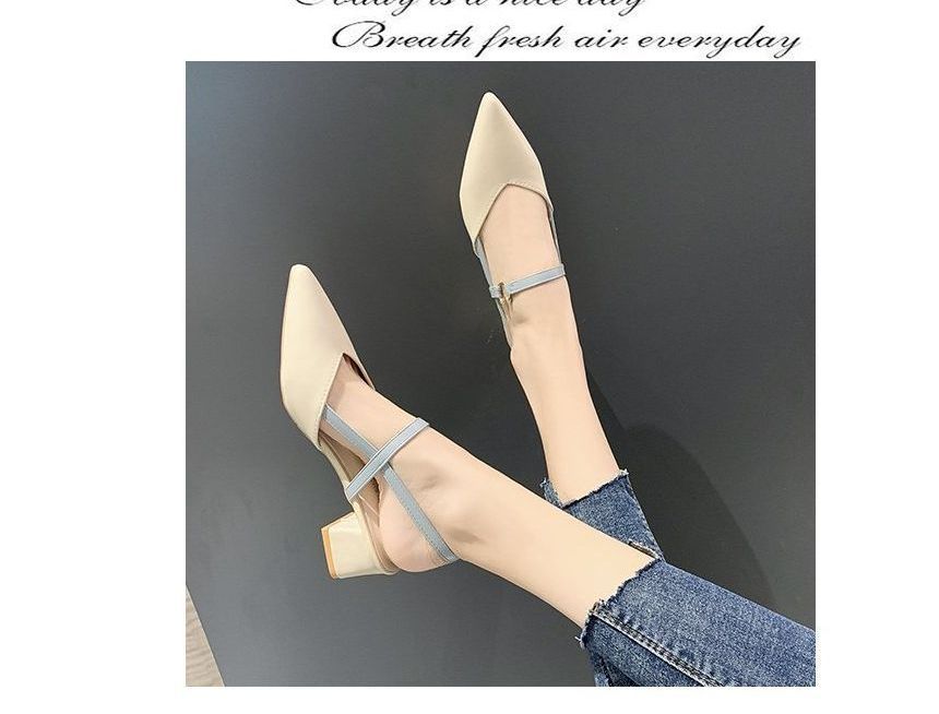 Pointed Chunky Heeled Sandals