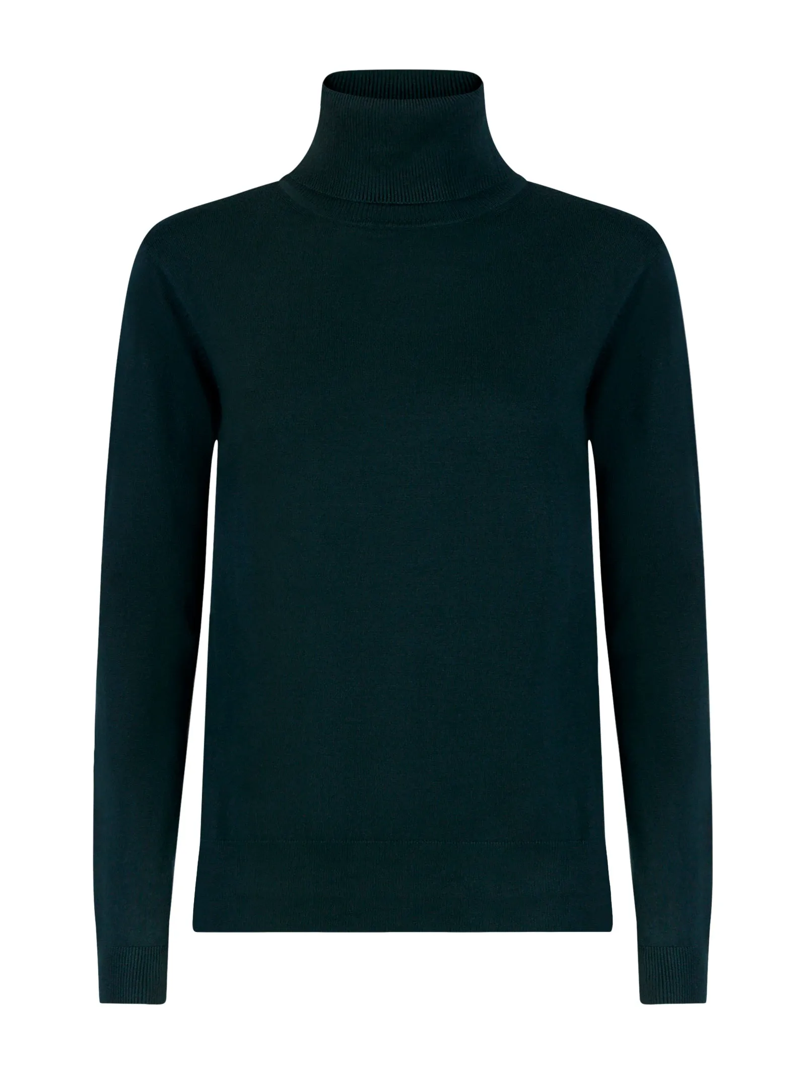 Winter Basic Scarab Turtleneck Sweater